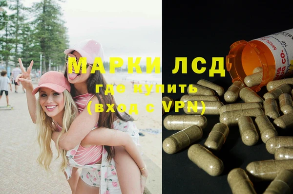 соль ск Алзамай