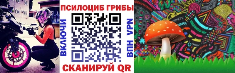 Галлюциногенные грибы Psilocybine cubensis  где можно купить наркотик  KRAKEN ONION  Луга 